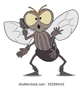 Fly on Cell Phone