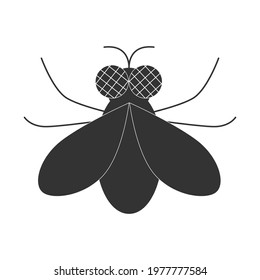 Fly on a white background. Vector illustration.