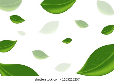 fly out green leafs with blurry shape, leafs vector stylized background template. Vector Eps 10.