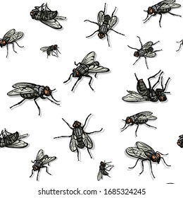 Fly, fly pattern, realistic image, color