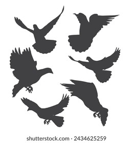 fly pigeons silhouette. black isolated white background