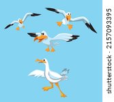 Fly seagull birds vector illustrator