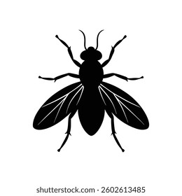 fly of a silhouette art