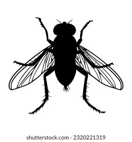 Fly silhouette isolated on white background. Icon Vector illustration