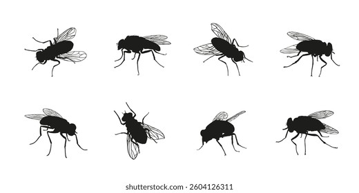 fly silhouettes on the white background