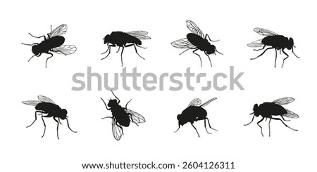 fly silhouettes on the white background