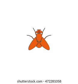 Fly simple icon. Insect illustration.