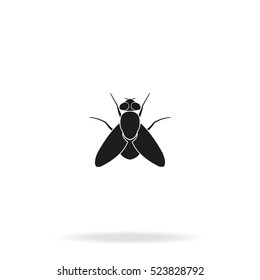 Fly simple icon. Insect illustration.