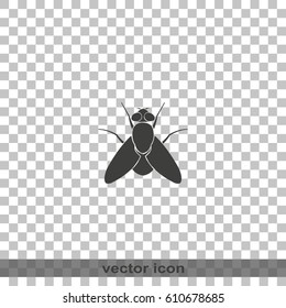 Fly simple icon. Insect illustration.