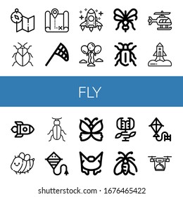 fly simple icons set. Contains such icons as Map, Stink bug, Butterfly net, Rocket, Balloons, Mosquito, Beetle, Helicopter, Bee, Kite, Butterfly, can be used for web, mobile and logo