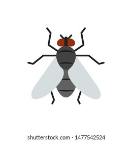 Icono plano de vuelo. Insect simple signo en estilo caricatura. Pictograma de mosca doméstica. Símbolo de vida silvestre. La enttomología cierra la ilustración vectorial de color aislada en blanco. Elemento de diseño gráfico para tarjeta, logotipo