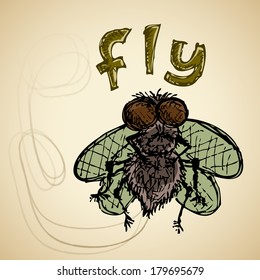Fly sketch for your design, vector illustration, eps10. Glad to see you in my portfolio, have a nice day =)