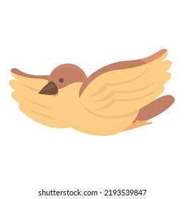 Fly sparrow icon cartoon vector. Tree bird. Small character