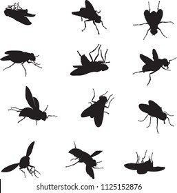 Black Silhouettes Fly Different Poses Isolated Stock Vector (Royalty ...