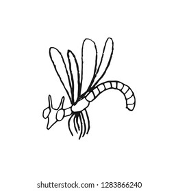 fly vector doodle sketch isolated on white background