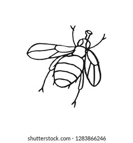 fly vector doodle sketch isolated on white background