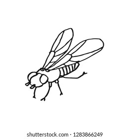 fly vector doodle sketch isolated on white background