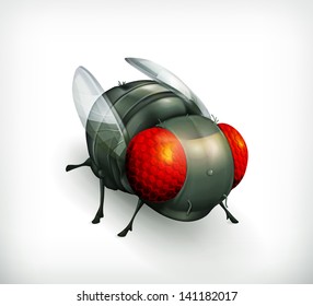 Fly, vector icon