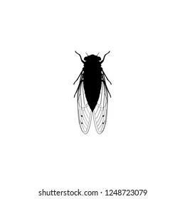 fly vector icon. fly sign on white background. fly icon for web and app