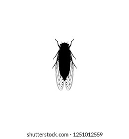 fly vector icon. fly sign on white background. fly icon for web and app