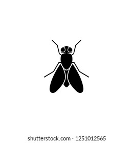 fly vector icon. fly sign on white background. fly icon for web and app