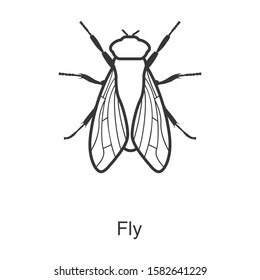 512 Housefly Outline Images, Stock Photos & Vectors | Shutterstock