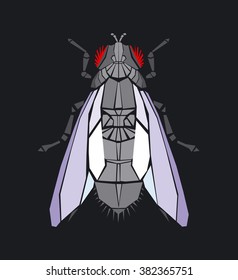 Fly vector illustration