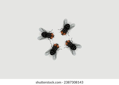 fly vector illustration eps 10