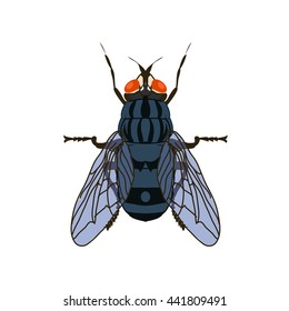 Fly vector illustration. Gnat icon. Insect in the garden.