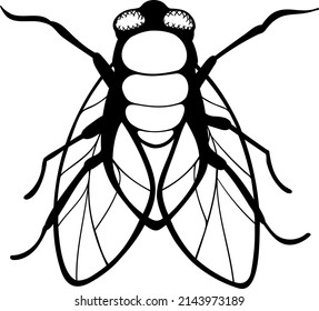 Fly, vector illustration. Hand drown vector illustration for perfect for sign.