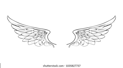 Hand drawn wing Sketch angel wings with feathers Vector tattoo design  isolated Angel wing tattoo bird feather sketch drawn illustration Stock  Vector  Adobe Stock