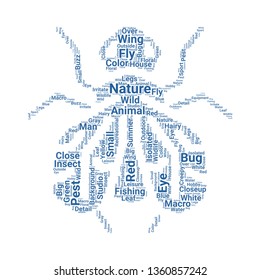fly word cloud. tag cloud about fly.