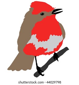 flycatcher