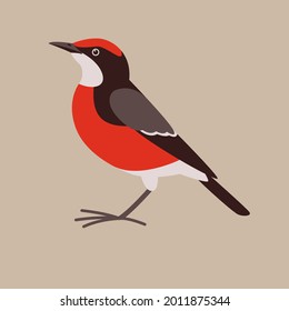 ave flycatcher, ilustración vectorial, estilo plano, vista lateral