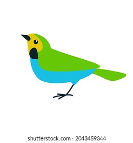 flycatcher green bird, vector illustration, flat style, side view