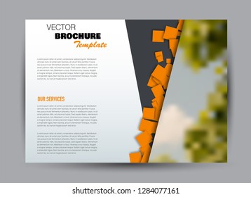 Flyer, brochure, billboard template design landscape orientation for business, education, school, presentation, website. Orange and grey color. Editable vector illustration.