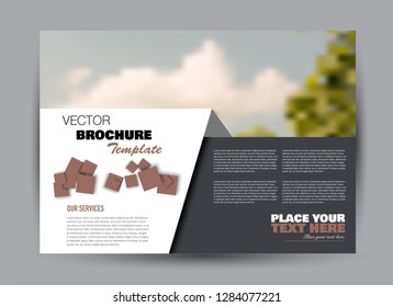 Flyer, brochure, billboard template design landscape orientation for business, education, school, presentation, website. Brown and grey color. Editable vector illustration.