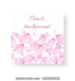 Flyer design pattern with flying petals of a blossoming peach on a white background