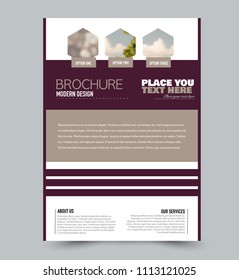 Flyer design template. Brochure layout. School education handout. Annual report cover. Vector illustration.