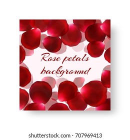 Flyer design template for romantic congratulations with soaring rose petals