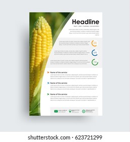 Flyer format A4 format. Cover design with photo corn. Universal brochure for advertising business, travel, food and more. photo from a mosaic for a sample.