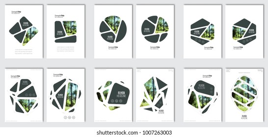 Flyer layout template  Vector brochure background set and elements for magazine  cover  poster  layout design  A4 size  