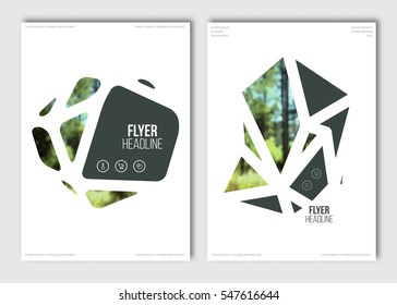 Flyer layout template. Vector brochure background with elements for magazine, cover, poster, layout design. A4 size. 