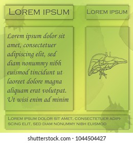 Flyer for Seminars or Workshops with Four Blocks for Text and Block with Hand Drawn Liver. Blocks Pointed Out with Shadows. Flyer Decorated with Gradients and Watercolor Textures. Human Anatomy Vector