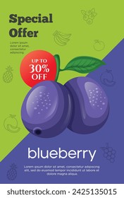 Oferta especial de Flyer para productos de frutas de arándano. Prospecto de promoción de fruta