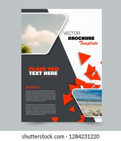 Flyer template. Brochure layout. Annual report cover or print out poster design. Orange and grey color. Vector illustration.