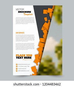 Flyer template. Design for a business, education, advertisement brochure, poster or pamphlet. Vector illustration. Orange color.