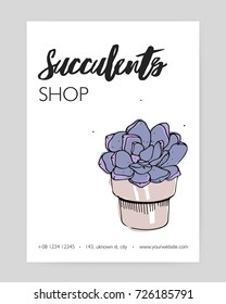 Flyer template with hand drawn echeveria growing in clay pot and place for text on white background. Stone rose, potted desert plant, decorative houseplant. Vector illustration for succulent shop ad.