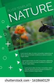 flyer template nature, stock vector