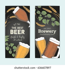 Flyers set with beer glasses, barley and hops. Vector illustration in sketch style. Hand drawn colorful beer vertical banners. Engraved style image.
